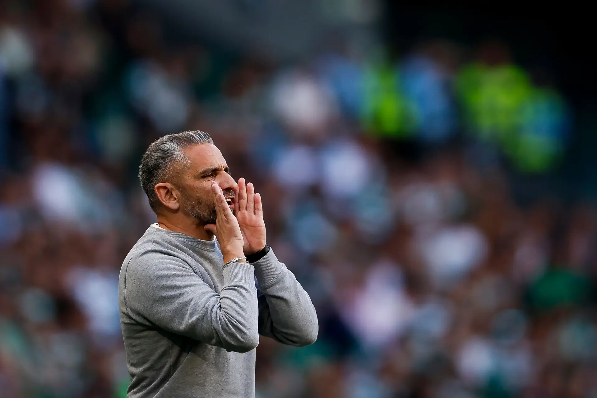 Treinador do Sporting, Rui Borges