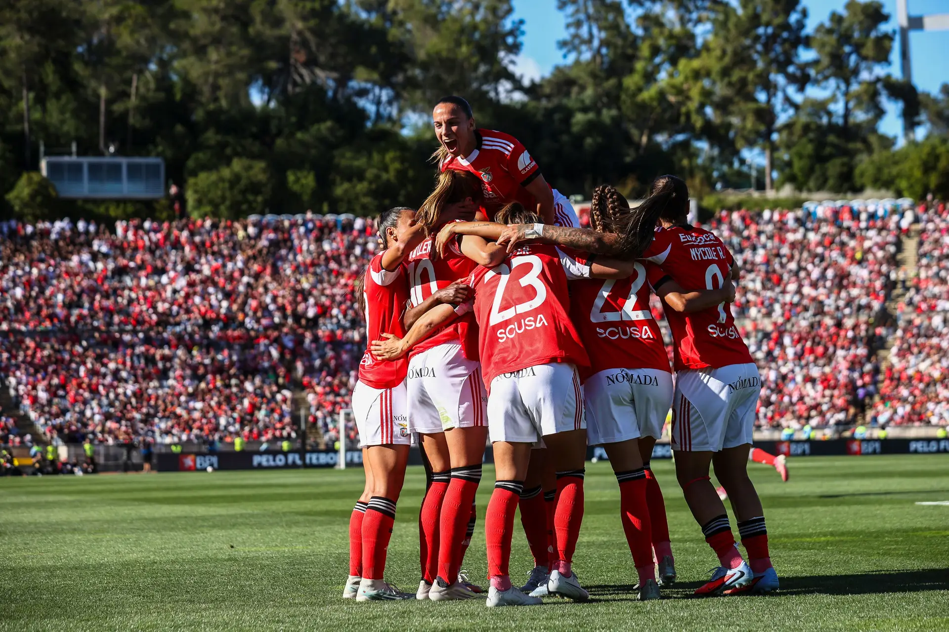 Equipa do Benfica é hexacampeã nacional.
