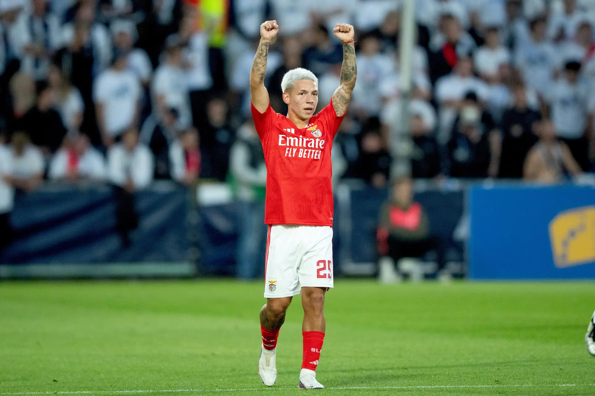 O Benfica é o recreio de Prestianni. E muitas outras coisas