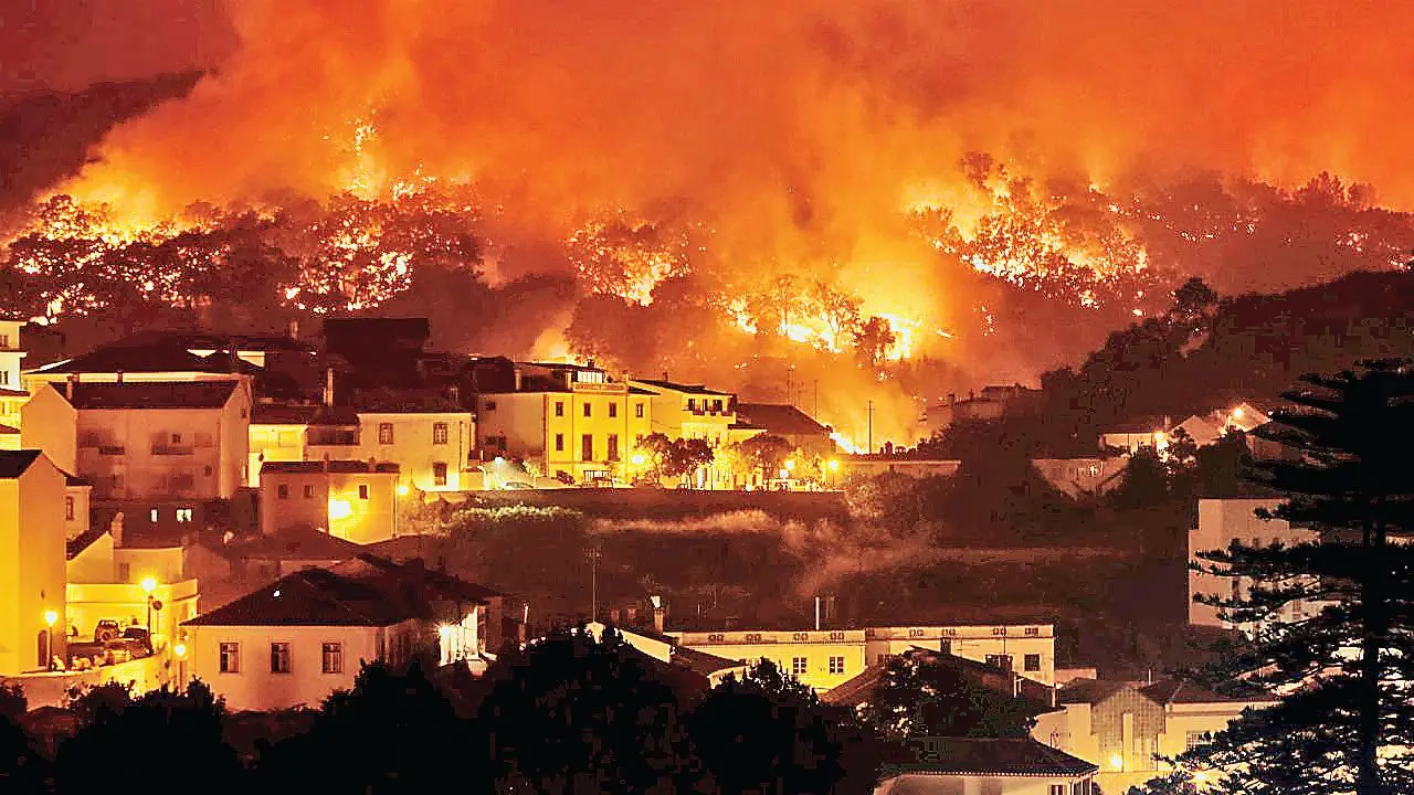 Incêndio de Monchique foi provocado por linha eléctrica da ...