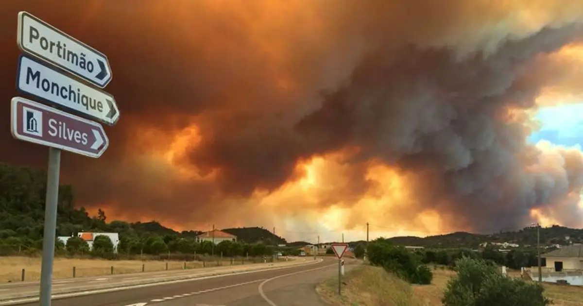 Serviço Municipal de Proteção Civil e Florestas de Silves ...