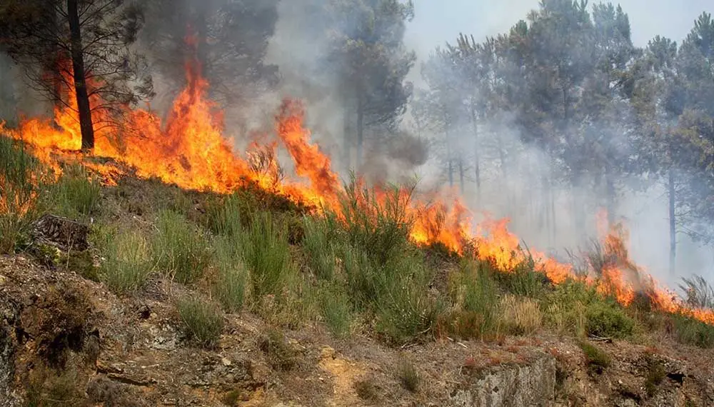 São Brás de Alportel em risco máximo de incêndio - Postal ...