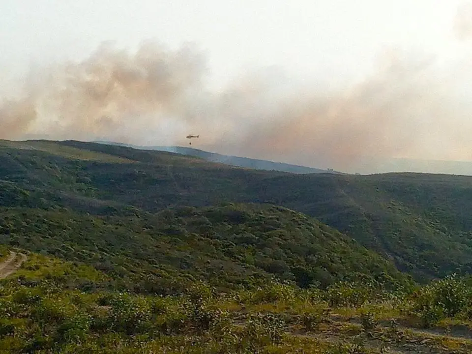 Incêndio voltou à serra algarvia na zona de Vila do Bispo ...