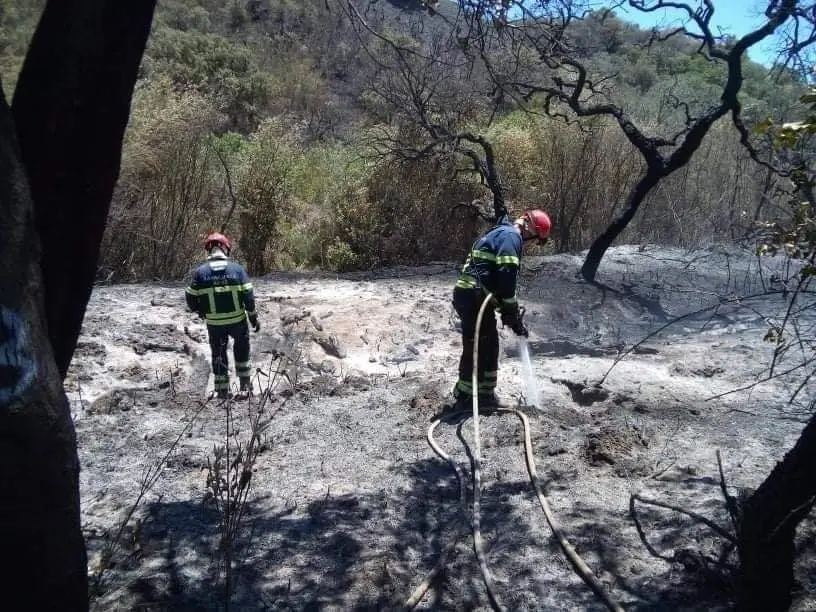 Incêndio dado como dominado em Monchique - Postal do Algarve