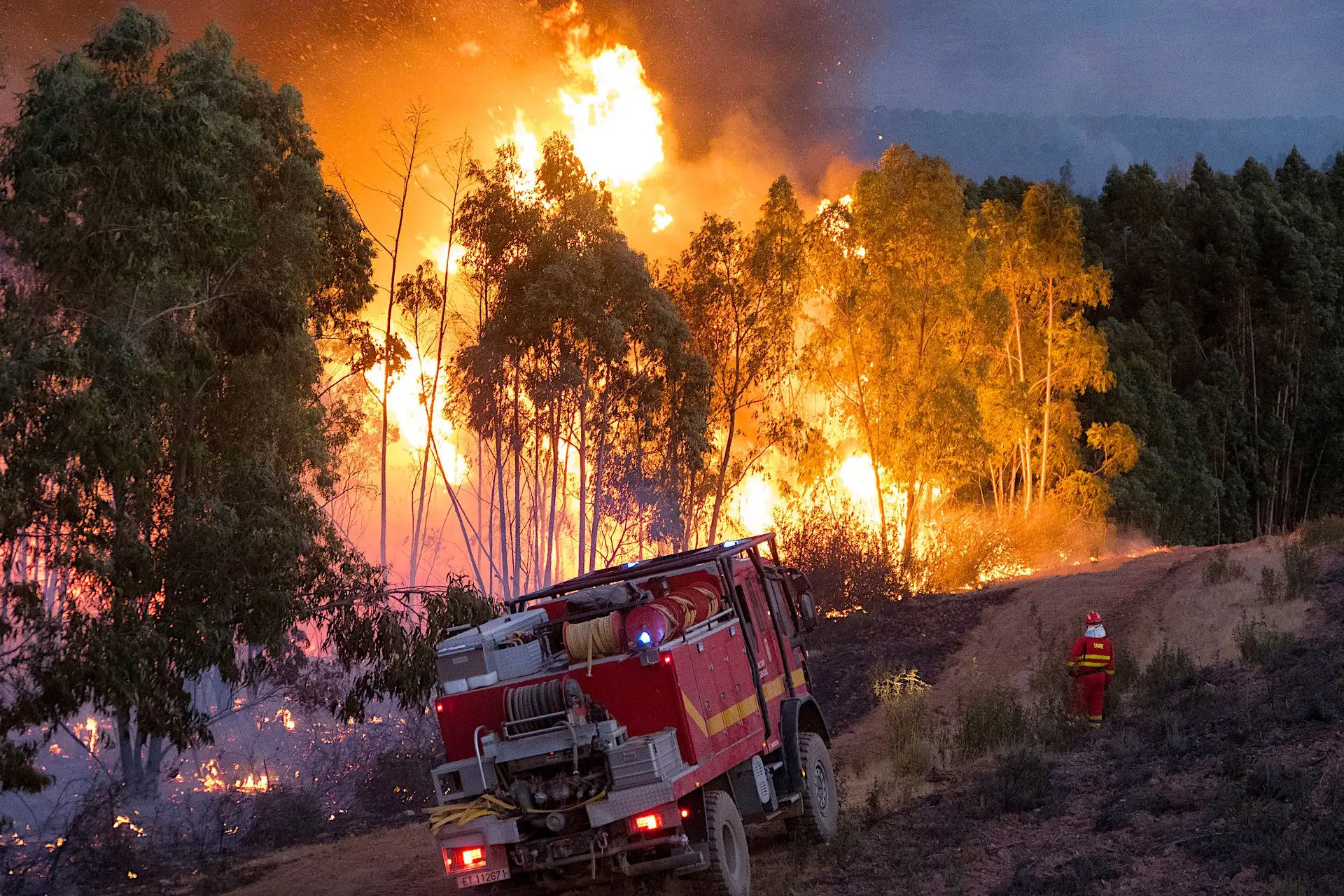 Incêndio de Huelva: Autoridades entram no quinto dia de ...