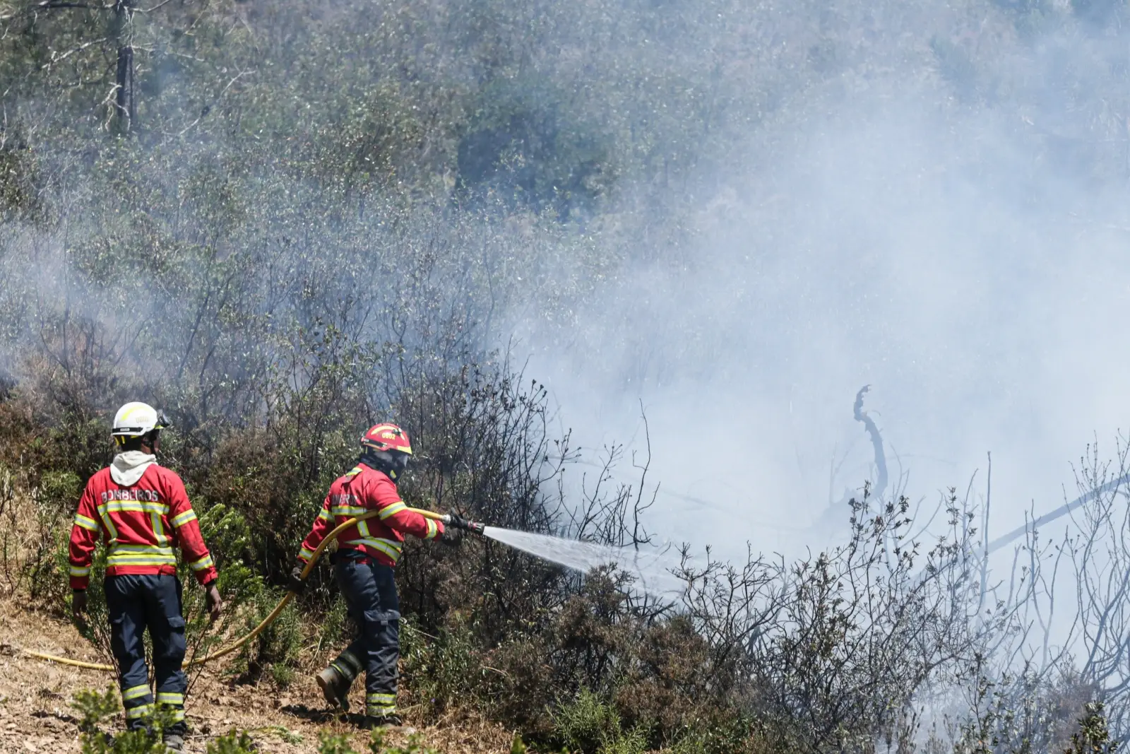 Sao Bras De Alportel E Tavira Em Alerta Maximo De Incendio Postal Do Algarve