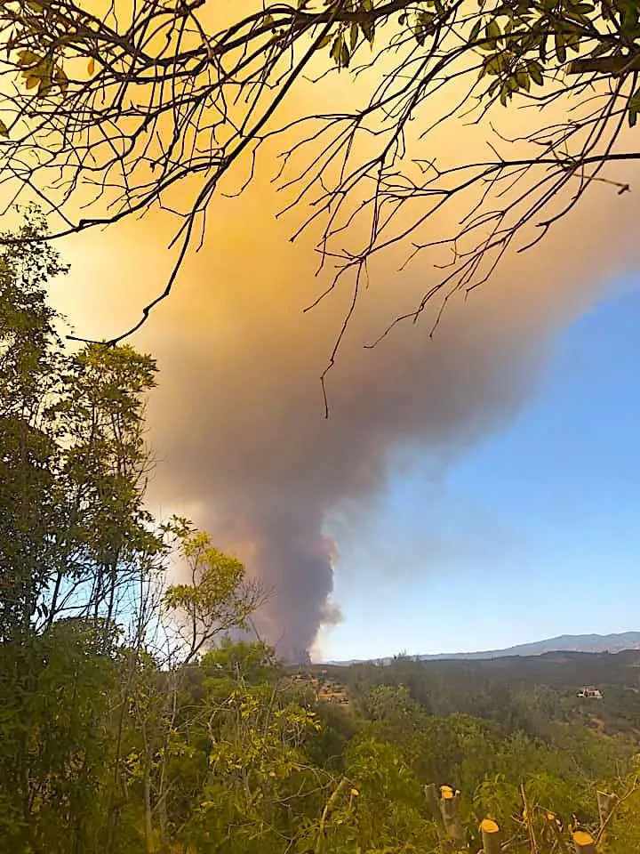 Mais De 230 Operacionais 8 Avioes E Helicopteros Combatem Incendio De Monchique Postal Do Algarve