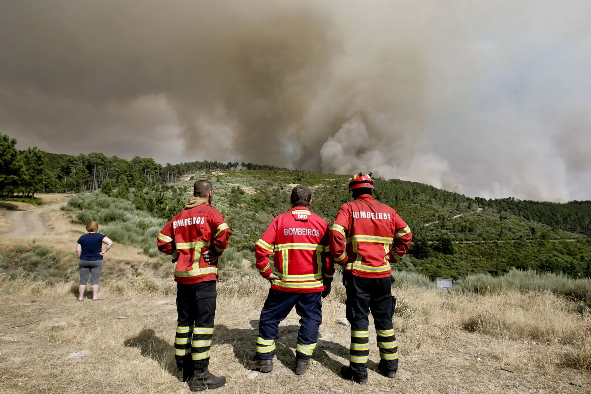 Incendio De Monchique Arderam 2 000 Hectares Postal Do Algarve