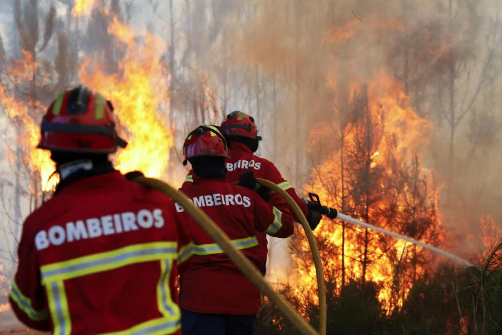 Varias Pessoas Retiradas Preventivamente Devido A Fogo Em Castro Marim Postal Do Algarve