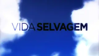 Vida Selvagem