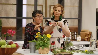 Sabia que chá de urtigas é um excelente anti-histamínico?