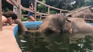 À Descoberta Com... Inês Castel-Branco