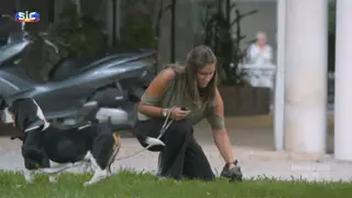 Apanha o cocó do seu cão? Hoje tem direito a um agradecimento especial!
