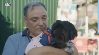 Salvador é voluntário num abrigo para animais: "Atrás daquele mau feitio tem um coração do tamanho do mundo"