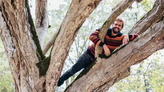 Regulamento Passatempo Árvore dos Desejos SIC