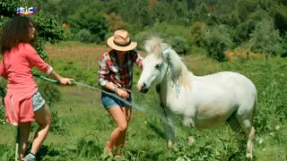 Quem Quer Namorar com o Agricultor? 4 - Diário 4 - 3 de junho