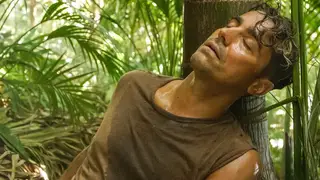Amor Amor: Romeu é atacado por um animal selvagem e fica em risco de vida