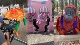 As novas "Máscaras" já andam por aí a fazer das suas!