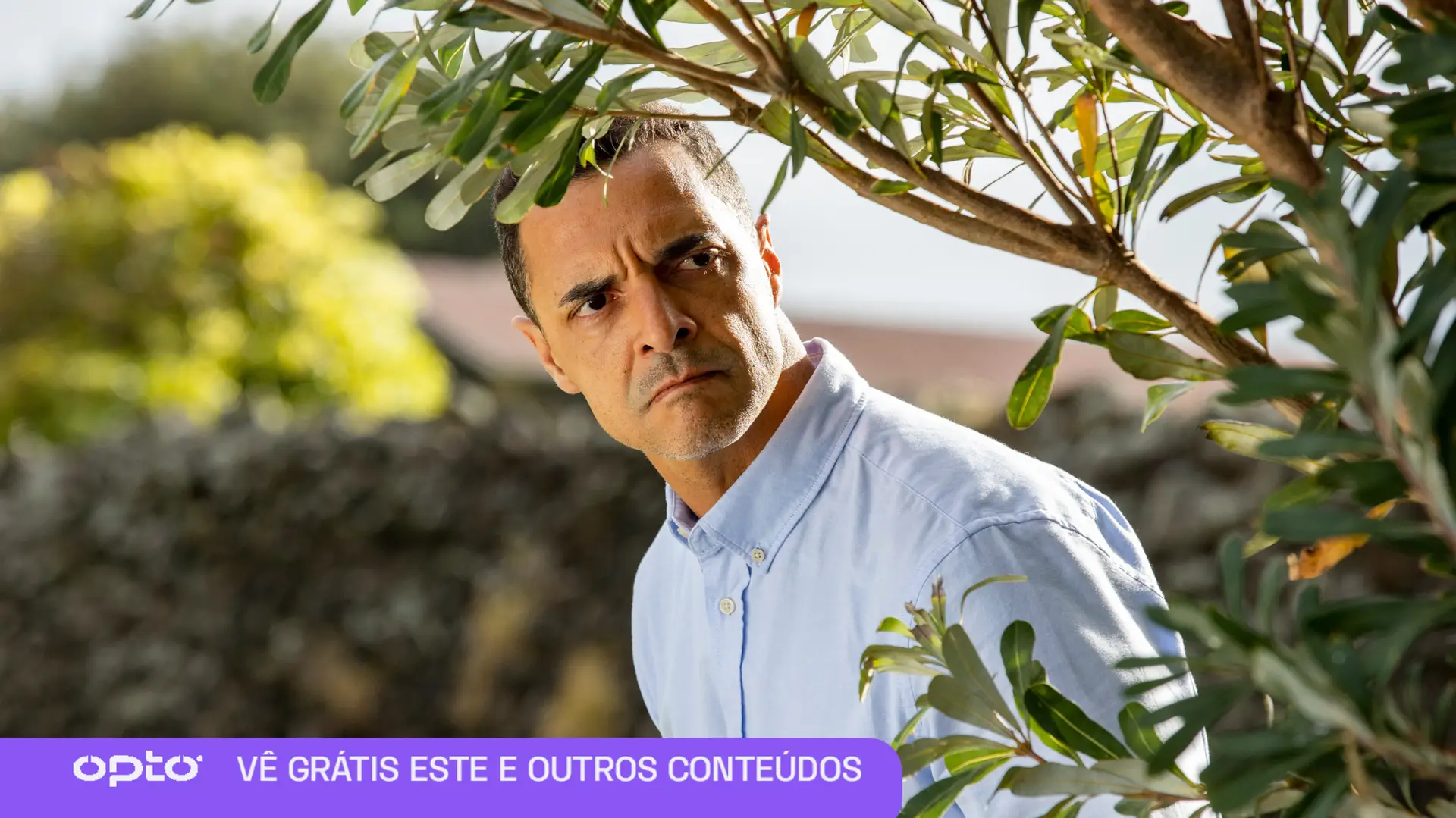 Resumo de Senhora do Mar Alex - Original