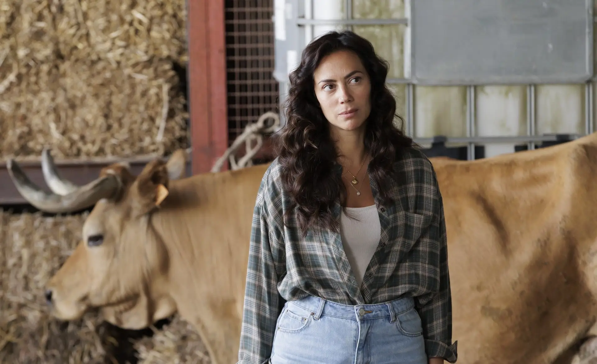 Resumo de 39 Senhora do Mar 39 Joana - Original