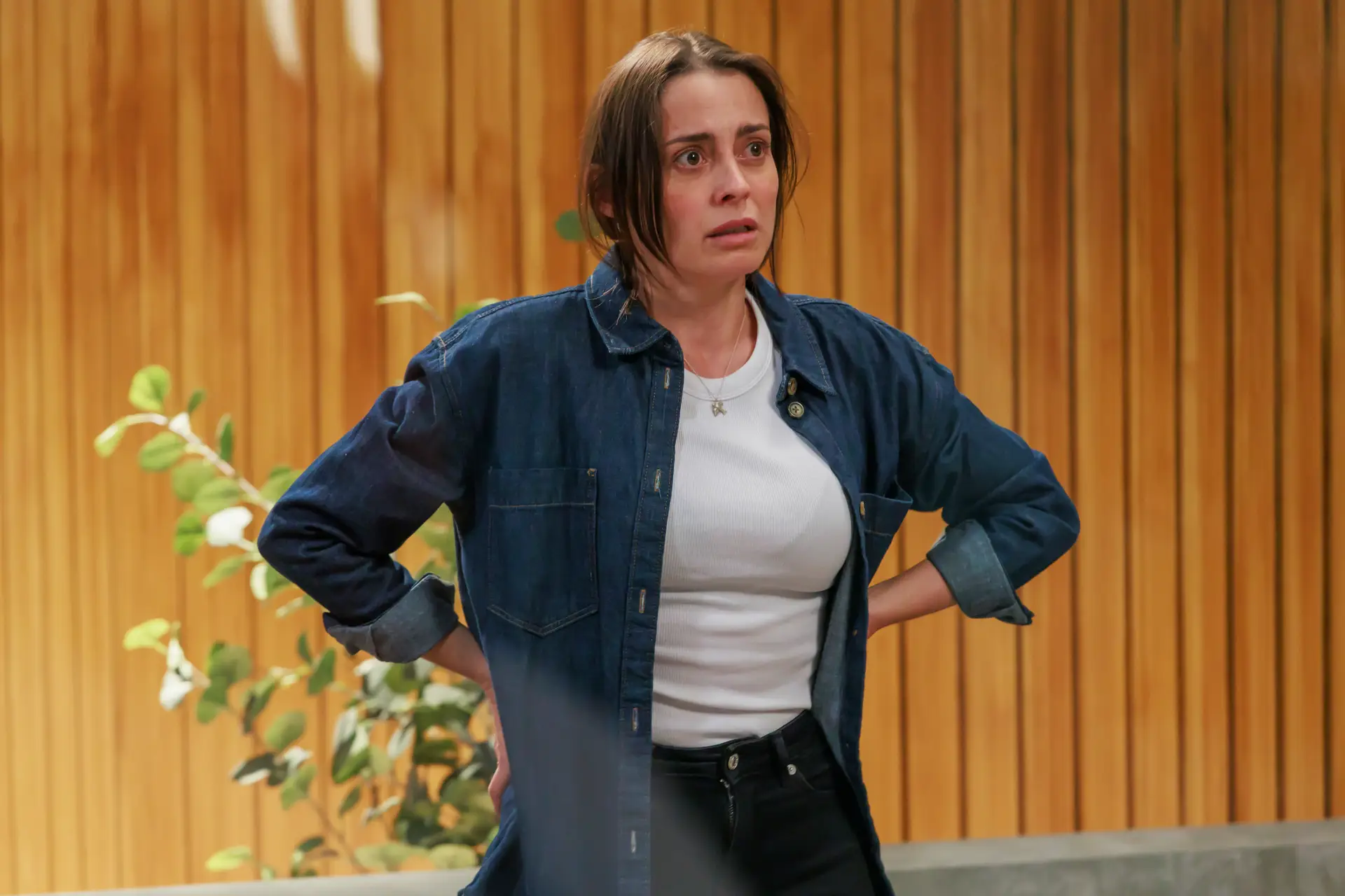 Resumo 'A Herança': Sofia convoca reunião de emergência