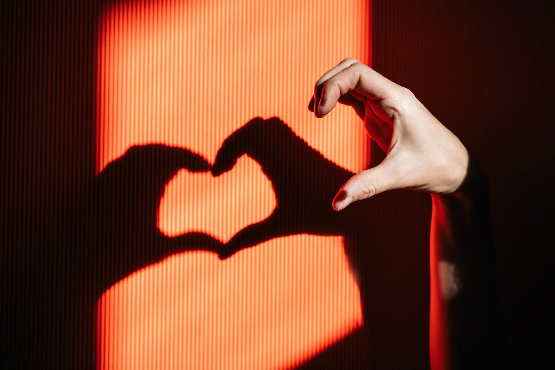 Os signos com mais probabilidades de encontrar o amor em 2026 - SIC
