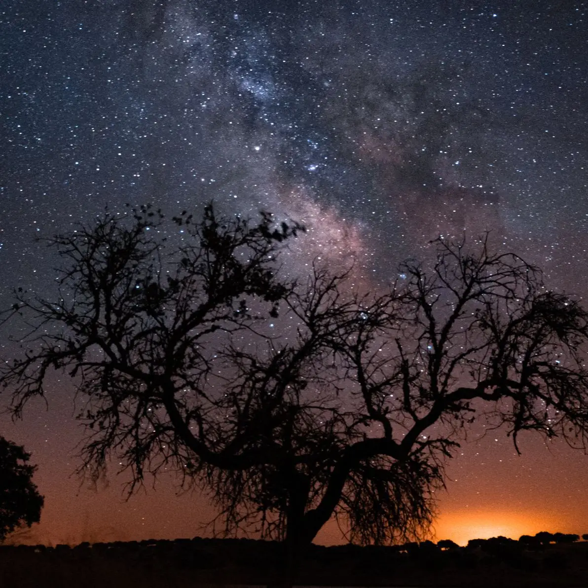 Alentejo: O Destino Europeu Onde o Céu Brilha Mais Forte