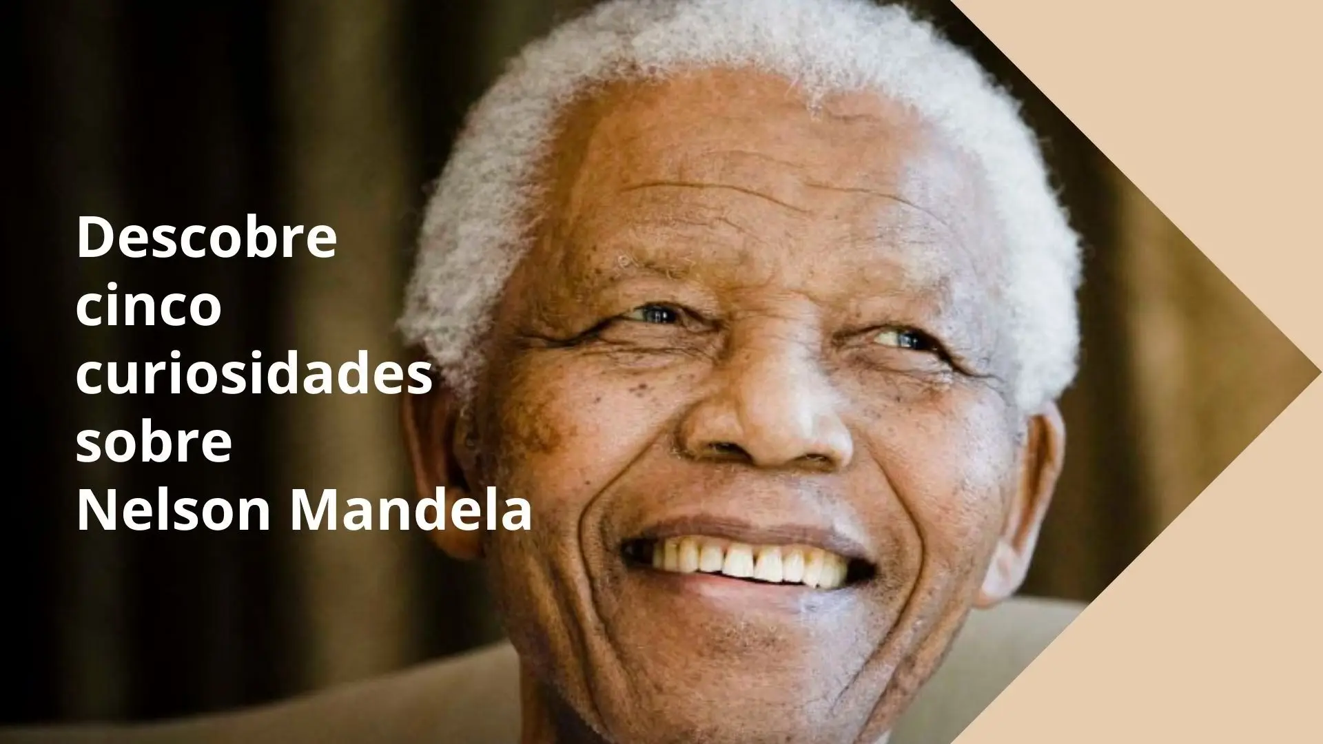 Quem foi Nelson Mandela?