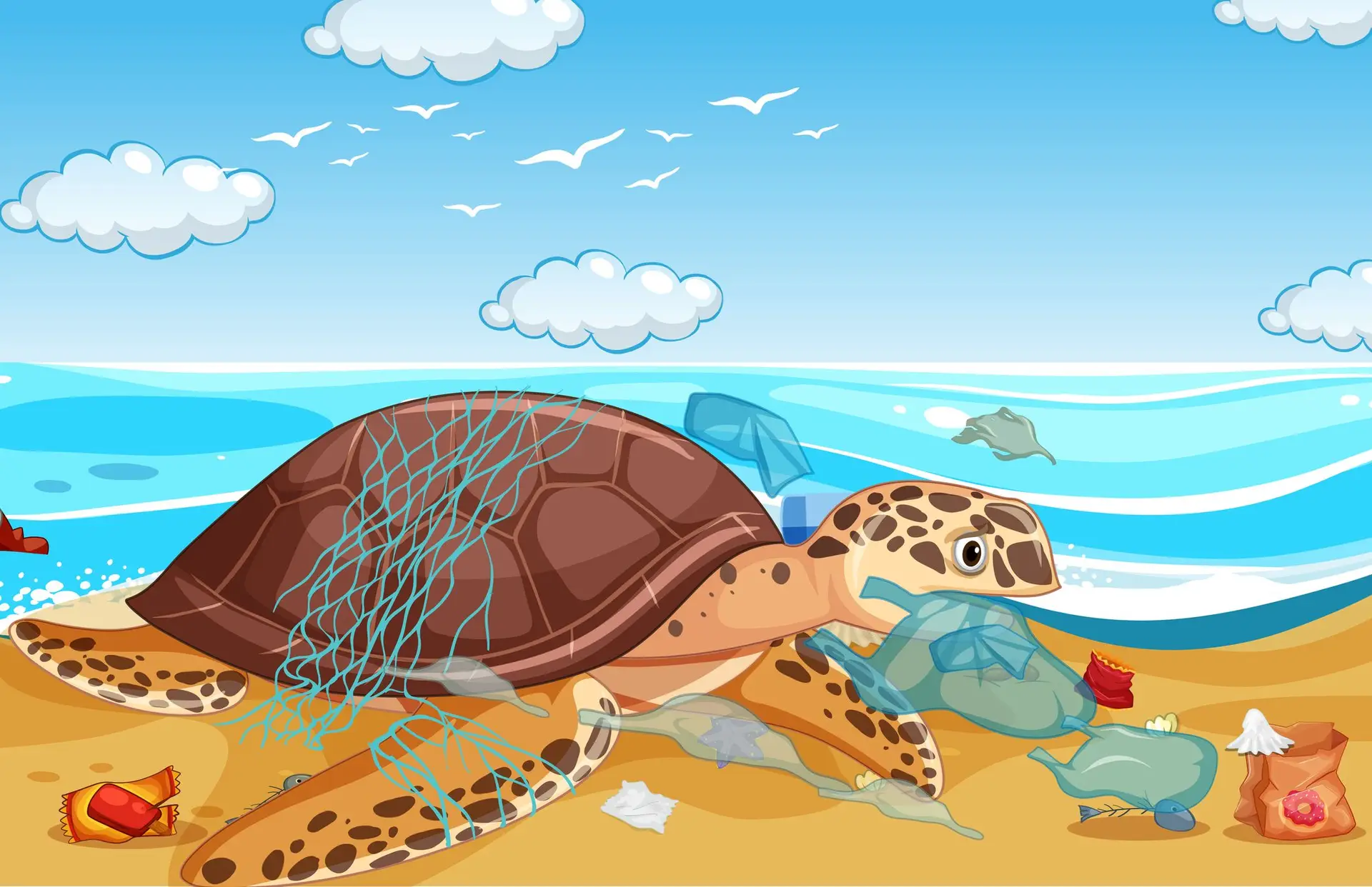 Lixo no mar é um veneno que dura séculos