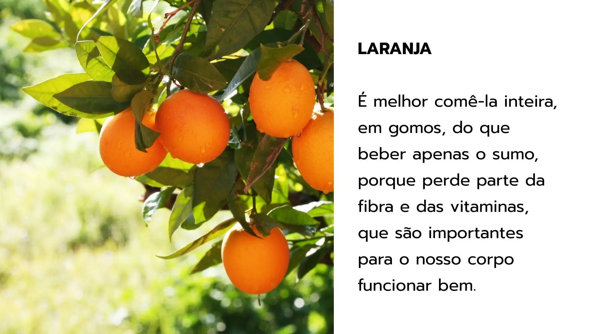 Vem descobrir as frutas e hortícolas de inverno