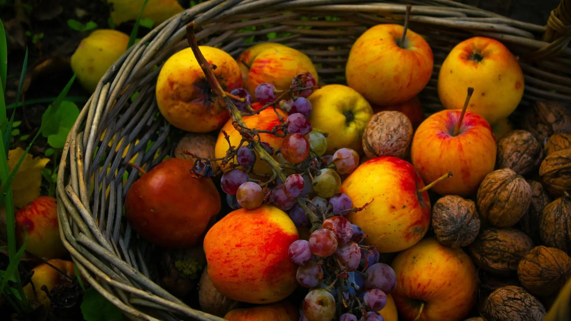 Os alimentos merecem uma segunda oportunidade