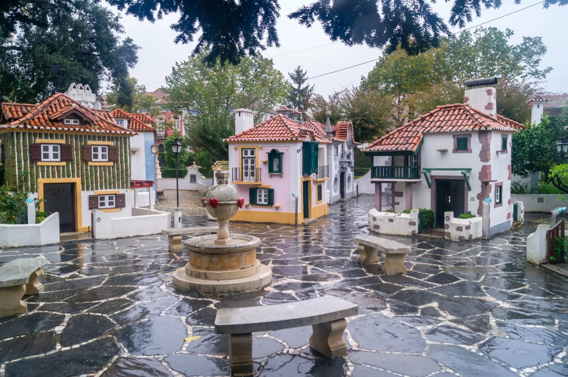 Queres ser gigante por um dia?