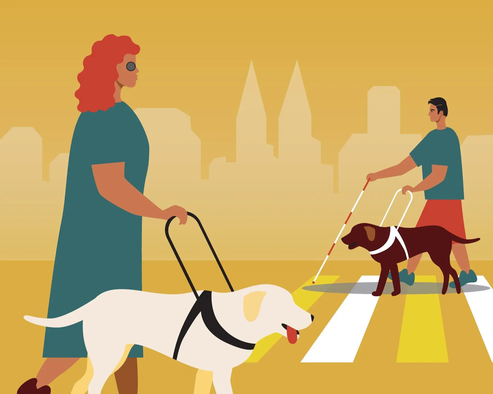 Quando um cão se torna guia e melhor amigo