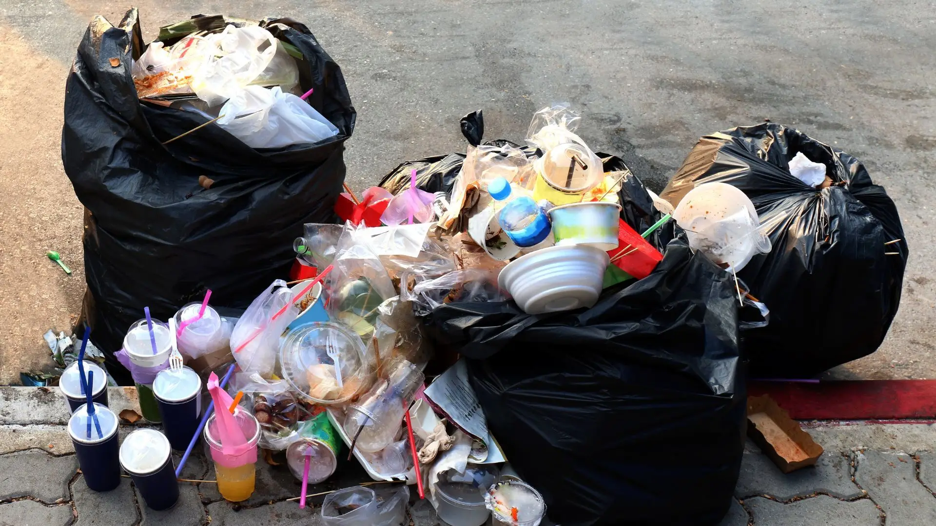 Alerta: o mundo está a portar-se mal