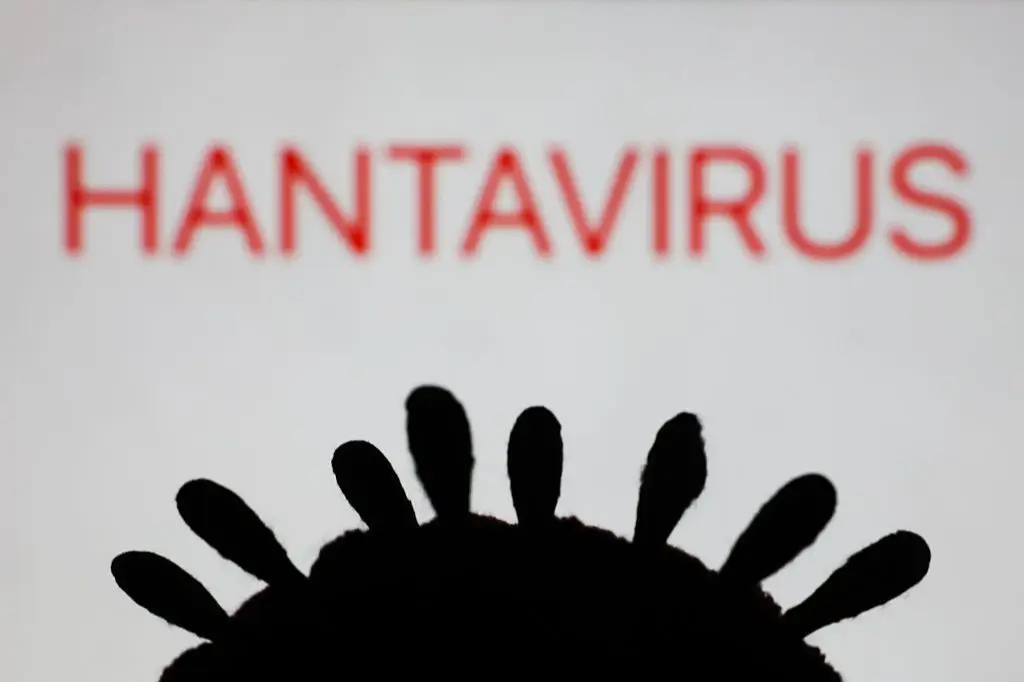 O hantavírus é pouco conhecido mas existe há muito tempo
