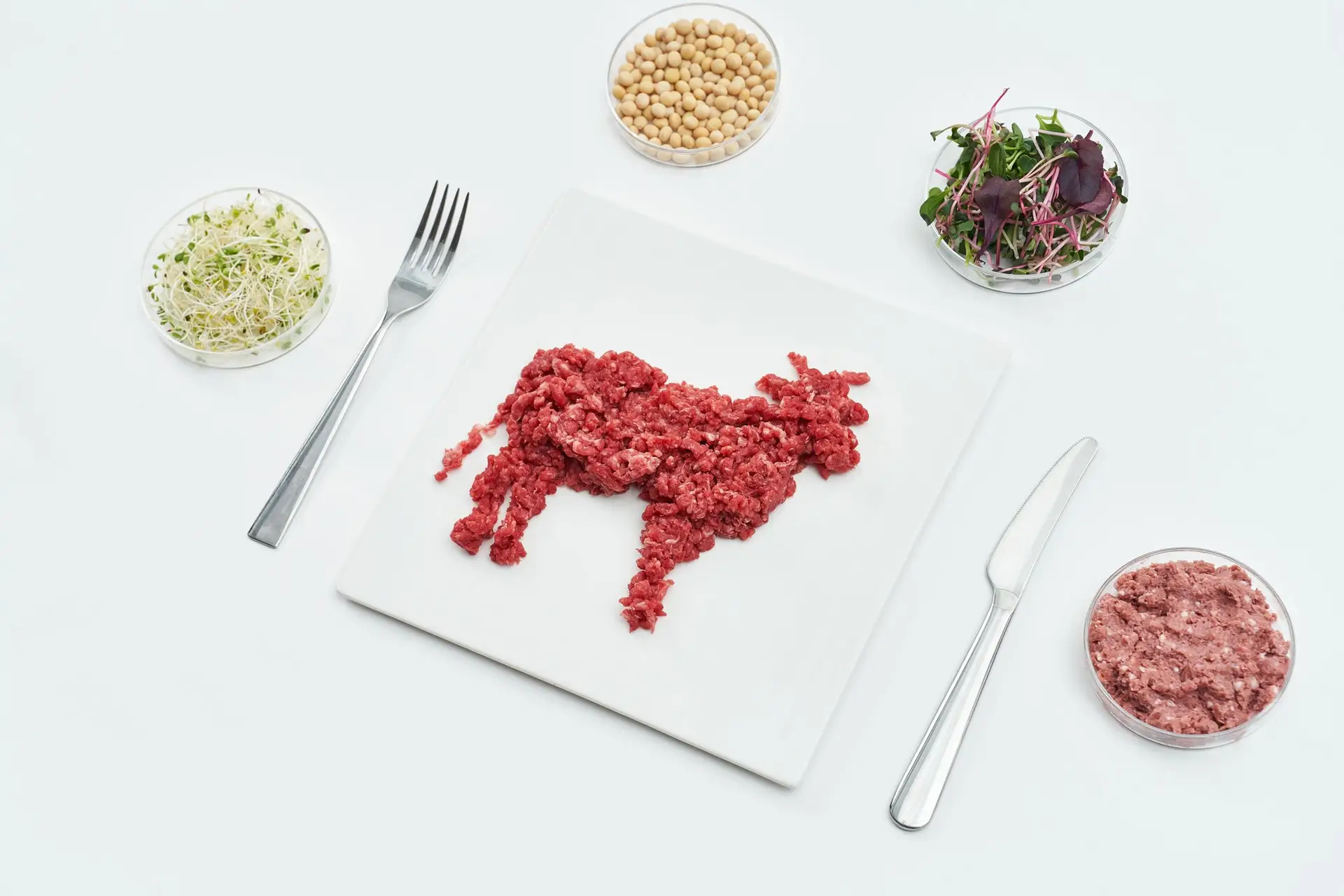 Sabias que já se cultiva carne em laboratório?
