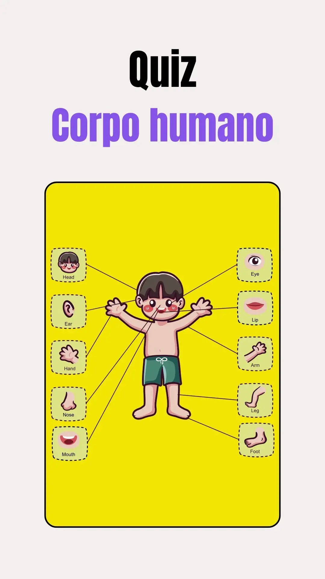 Quantas vezes os olhos abrem e fecham num dia?