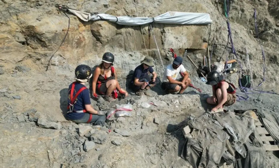 🦖 Dinossauro raro descoberto em Portugal