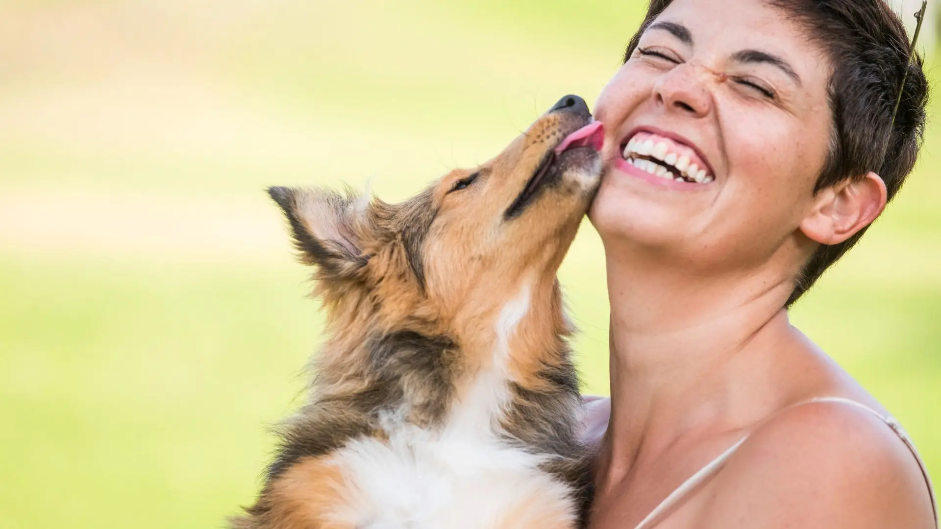 🐾 Os cães sabem quando estamos felizes