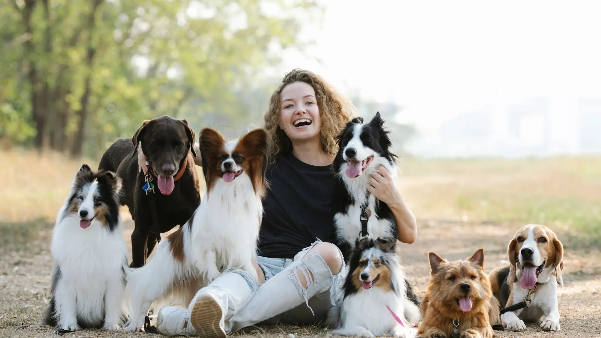 🐾 Os cães sabem quando estamos felizes