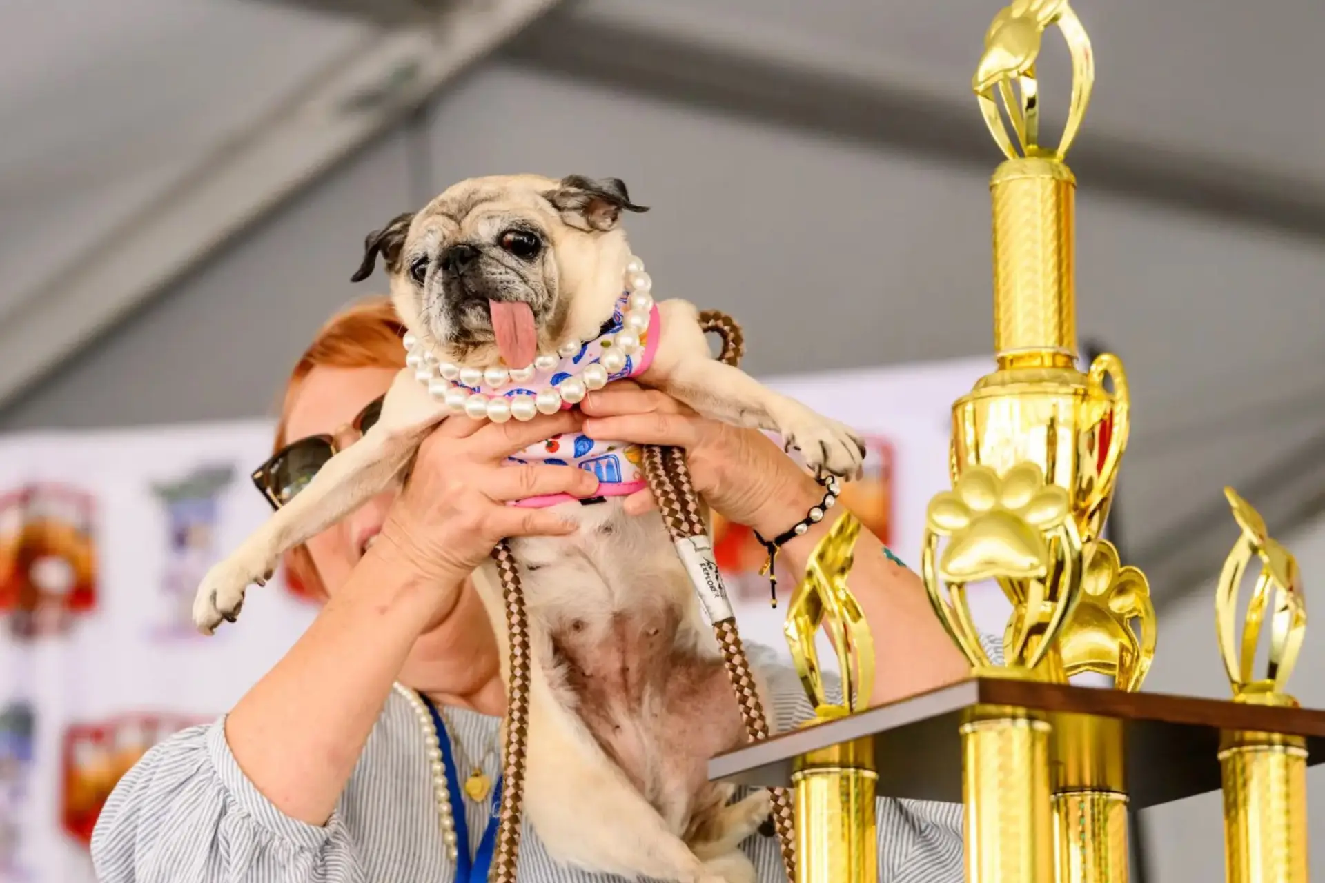 Jinny Lu ganhou o prémio de cão mais feio do mundo mas tem uma história linda