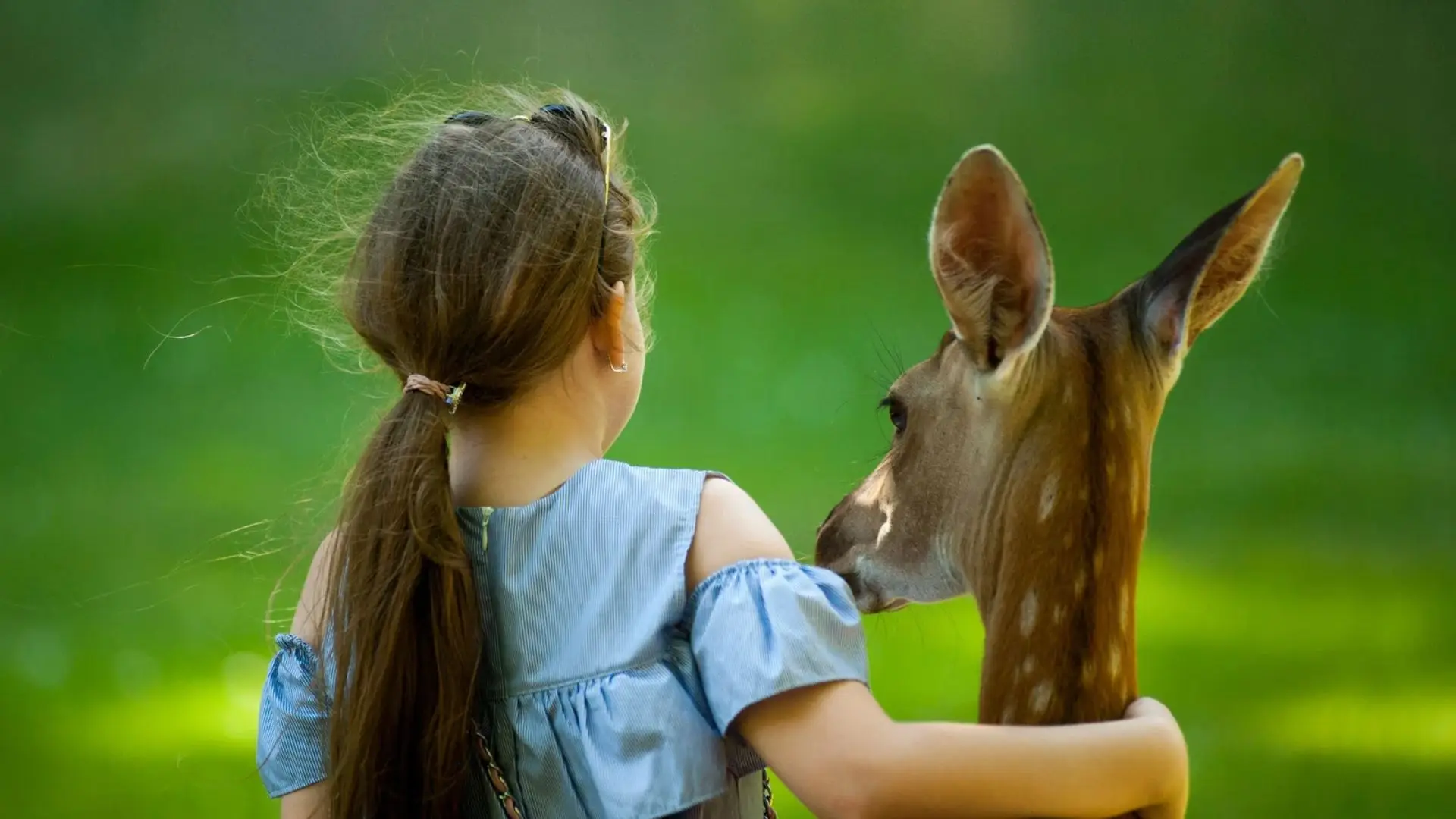Os animais são mesmo nossos amigos