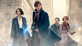 MONSTROS FANTÁSTICOS E ONDE ENCONTRÁ-LOS: Domingo na SIC K