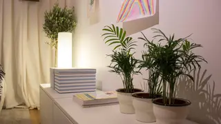 E Agora O Que É Que Eu Faço? - T2 - Programa 5