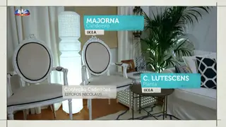 #EAgora: Montra do 6º programa