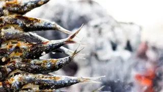 O papel da sardinha na saúde