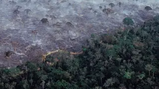 Incêndios na Amazónia já são visíveis do espaço
