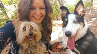 Famosos portugueses celebram dia mundial do animal nas redes sociais