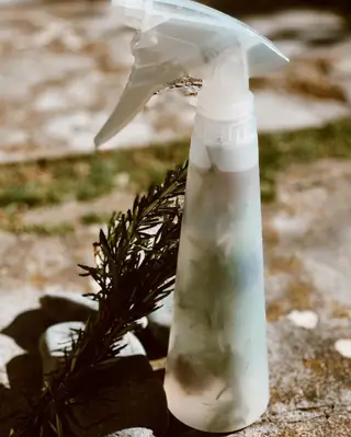 A sugestão da apresentadora para uma casa com cheiro agradável e sem químicos