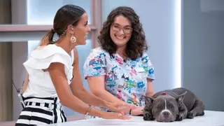 Já ouviu falar em acupuntura para cães? Rita Vicente mostra como se faz e revela os benefícios!